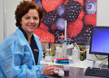 Costa plant breeder leads development of new blueberry varieties