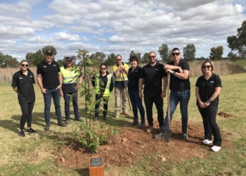 Tree planting in memory of Frank Costa AO